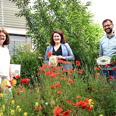 von li.: Sabine Sladky-Meraner, Biologin und Mitarbeiterin des Botanischen Gartens Innsbruck, LHStvin Ingrid Felipe, Matthias Karadar, Projektleiter von "Natur im Garten". 