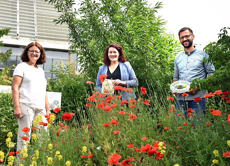 von li.: Sabine Sladky-Meraner, Biologin und Mitarbeiterin des Botanischen Gartens Innsbruck, LHStvin Ingrid Felipe, Matthias Karadar, Projektleiter von "Natur im Garten". 