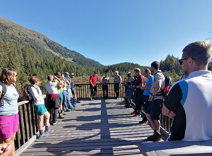 Wandergruppe auf einer Aussichtsplattform