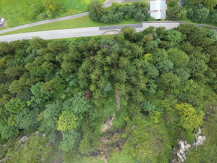 Drohnenaufnahme Straße und Sicherung