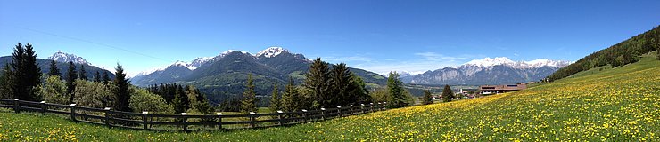 Landschaftsaufnahme Sommerwiese