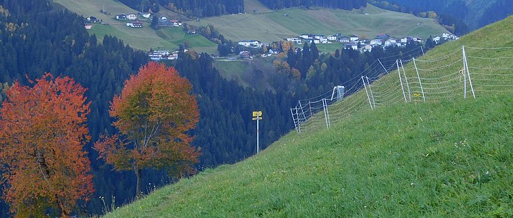 © DI Martin Schönherr Tanneben