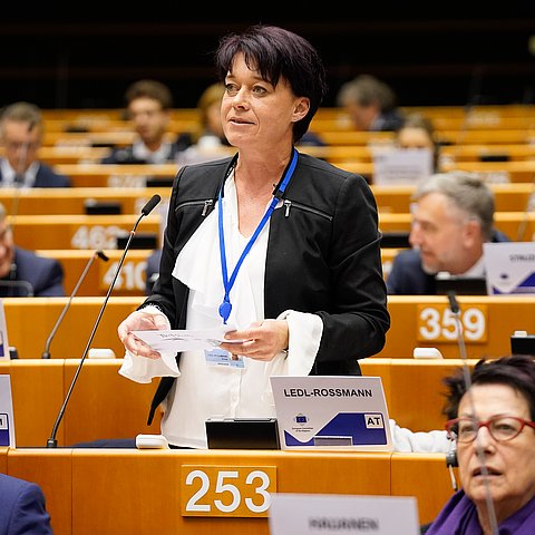 LTPin Ledl-Rossmann forderte in ihrer Rede Bewegung in Sachen Bahnausbau.