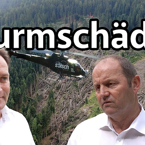 Sturmschäden