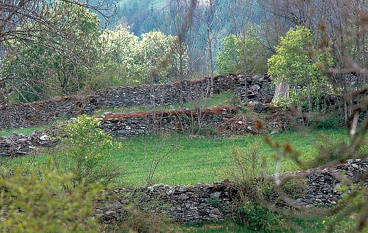 Lesesteinmauern in der Virger Feldflur