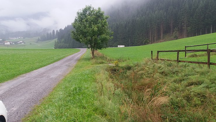 Hänslerbach in Lechaschau vor Beginn der Erhaltungsarbeiten