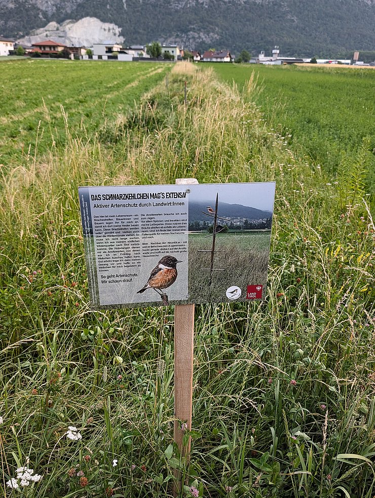 Tafeln informieren über den Zweck der Brachestreifen als Neststandort für Wiesenvögel