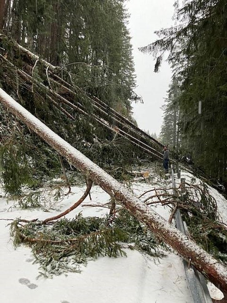 Foto der L266 Bschlaberstraße mit vom Sturm umgeworfenen Bäumen auf der Straße
