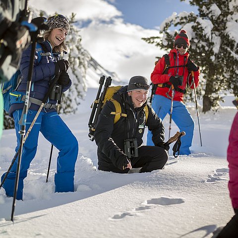 Die Förderung der Personalkosten in den Tiroler Naturparken und im Nationalpark Hohe Tauern wurde in der letzten Regierungssitzung auf Antrag von Landeshauptmann-StellvertreterinIngrid Felipe beschlossen.