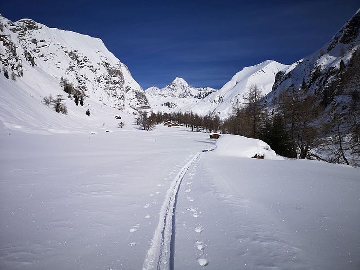 Spuren von Skitourengeher im Schnee