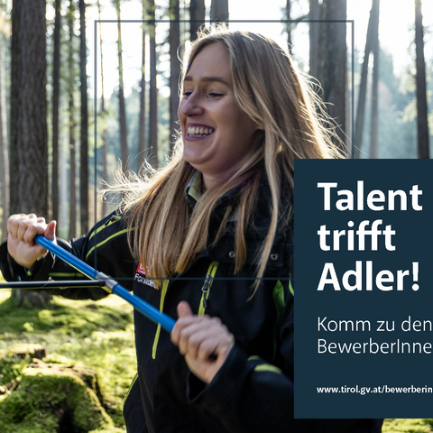 Eine junge Frau platziert ein Messgerät an einem Baum.