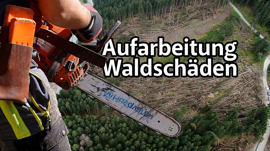 Aufarbeitung der Waldschäden: Unterstützung durch das Österreichische Bundesheer