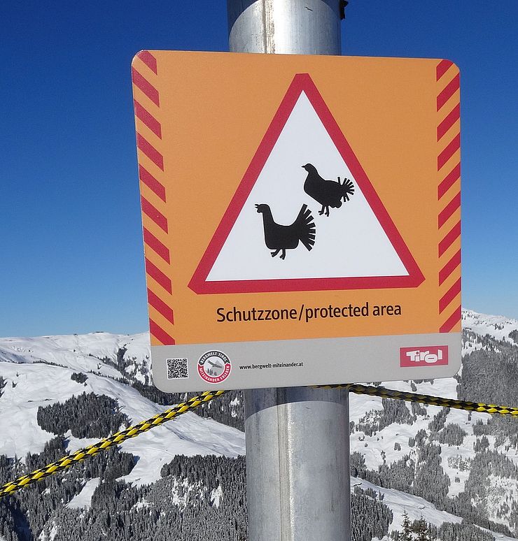Schutzzone für Birkhühner nach dem Programm "Bergwelt Tirol - Miteinander erleben"; Im Hintergrund sieht man verschneite Berglandlandschaft