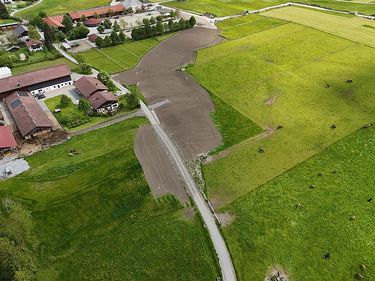 rekultivierter Polder Damm Süd - Mai 2025 