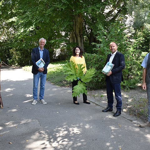 BU (von li.:) Konrad Pagitz (Leiter des Kompetenzzentrums Neophyten-Tirol), Paul Illmer (Dekan der Fakultät für Biologie der Universität Innsbruck), LHStvin Ingrid Felipe, LHStv Josef Geisler und Reinhard Lentner (Abt. Umweltschutz Land Tirol) stellten die Neophyten-Strategie des Landes Tirol vor. Der Riesen-Bärenklau (siehe Bild) zählt zu den als problematisch eingestuften Neophytenarten und kann schmerzhafte Hautreaktionen bis hin zu Atemnot auslösen.