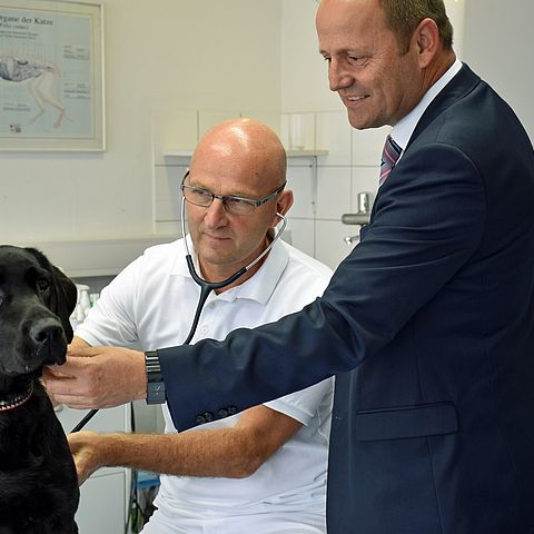 Tierarzt Peter Theurl in Natters beteiligt sich schon seit Jahren am Bereitschafts- und Notdienst und leistet damit wie zahlreiche seiner KollegInnen einen Beitrag zur durchgehenden Notfallversorgung von Kleintieren.