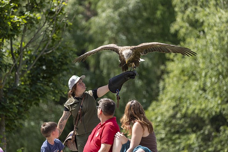 © Land Tirol/Sedlak Fälknerin mit Adler auf dem Arm