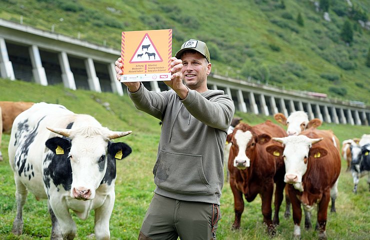 © Land Tirol/Hörmann Mann hält Warnschild in die Höhe, dahinter einige Kühe.