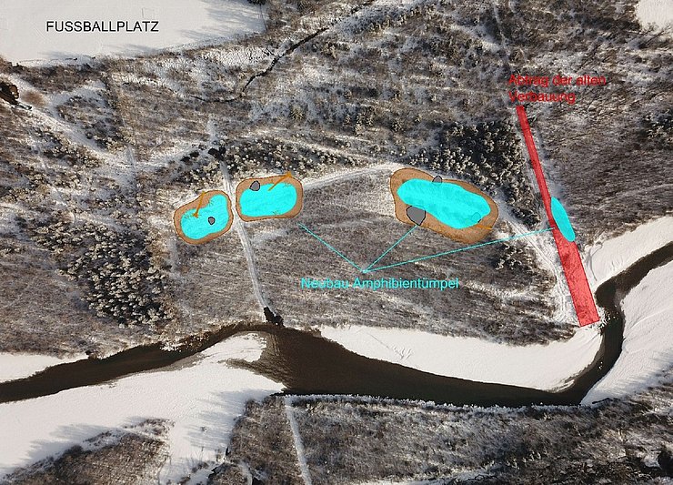 Schematischer Überblick über die Lage der neuen Tümpel !