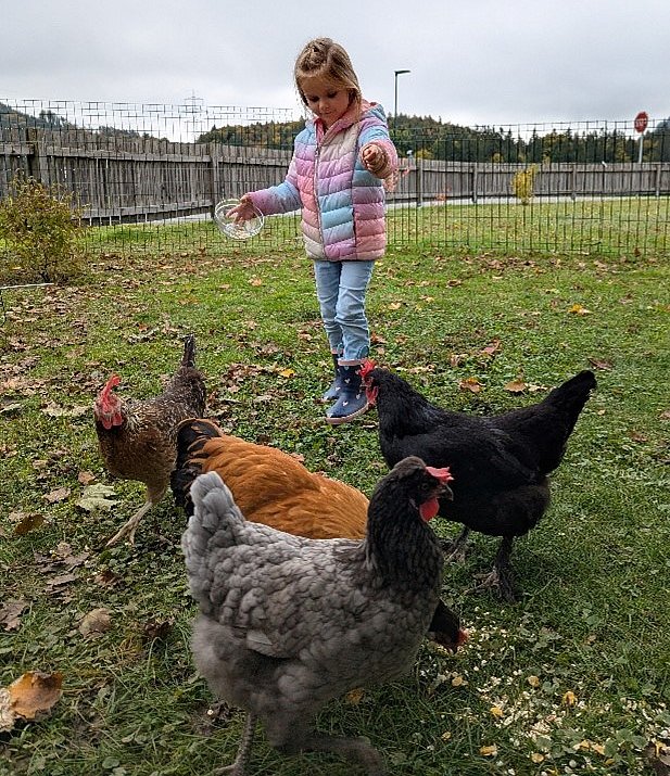 © Kindergarten Pinswang Mädchen füttert Hühner