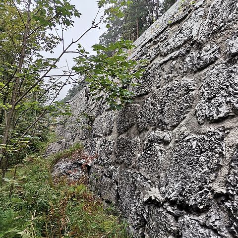 Der Riss entlang der Steinblöcke im unteren Bereich der talseitigen Stützmauer auf der Fernpassstraße im Bereich nach der Kurve "Wendung" (Kilometer 8,3).