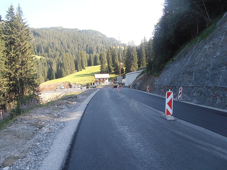 Bereich Waldheim mit Stützmauer Lechleiten