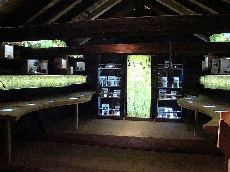 Blick in die Ausstellung im "Almmuseum Alpe Dias"