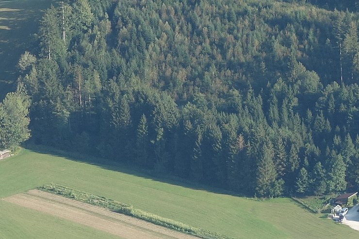 Land Tirol