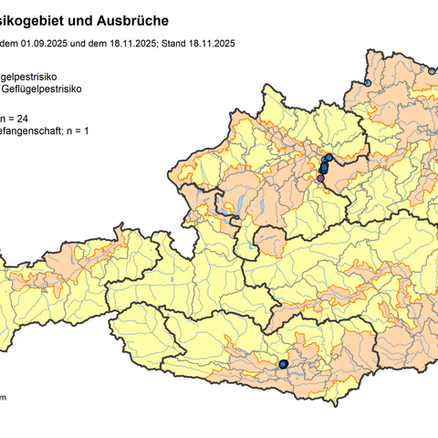 Geflügelpest (Vogelgrippe): Ab morgen, Donnerstag, Stallpflicht
