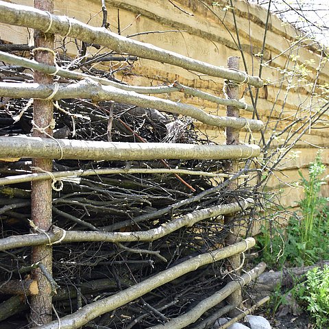 Landesförderung für „Natur im Garten“ bis 2026 sichergestellt