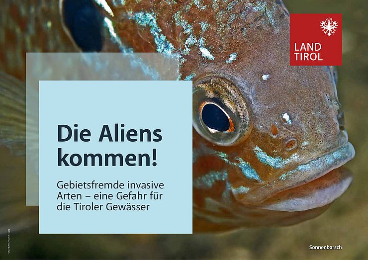 © Land Tirol Seebarsch auf Grafik