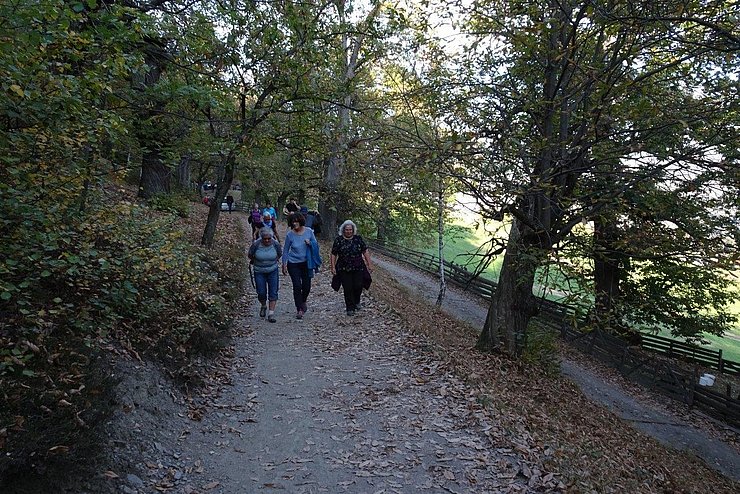 Sportvereinigung der Tiroler Landesbediensteten - Törgellen und Wandern in Südtirol 19. und 20. Oktober 2018