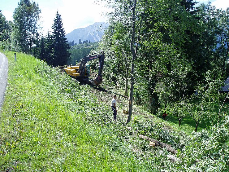 Rodungsarbeiten mit Bagger