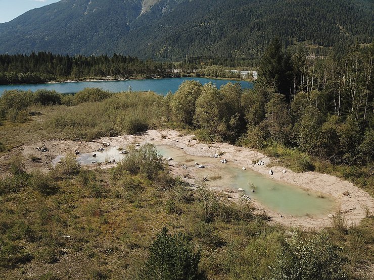 Ein neuer Tümpel für Amphibien wurde gebaut.