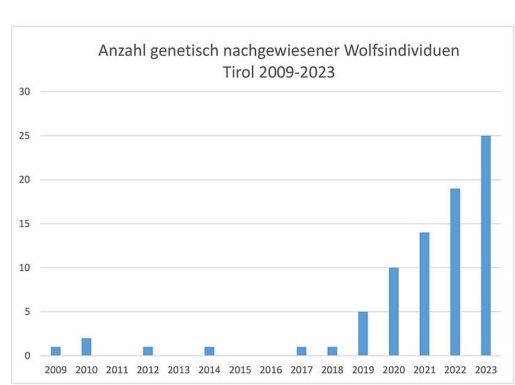 Statistik