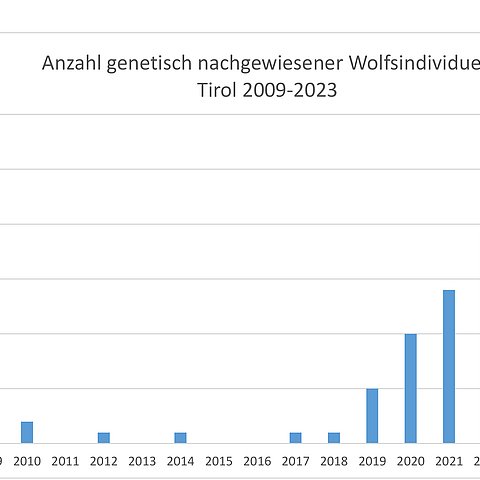 Statistik