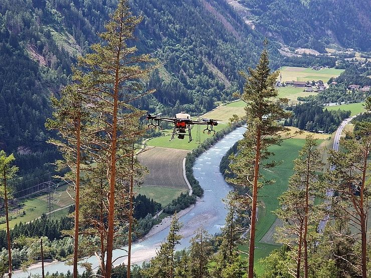 Drohne fliegt durch Wald