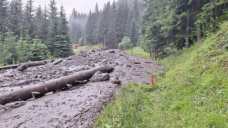Brauner Schlamm mit Baumstämmen und Steinen liegt auf Straße