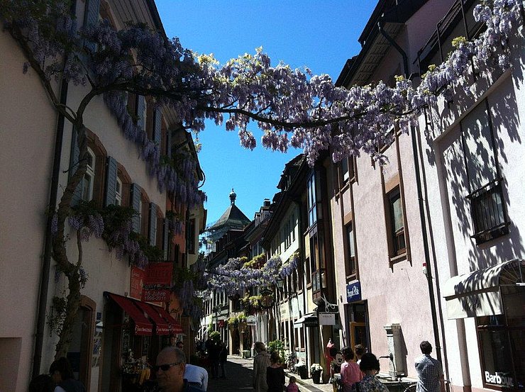 Ausflug nach Freiburg 17. und 18. Mai 2013