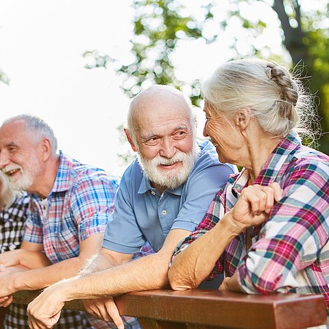 Active,Seniors,Talking,As,Friends,On,A,Summer,Outing