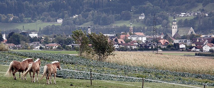 Absamer Felder gegen Hall