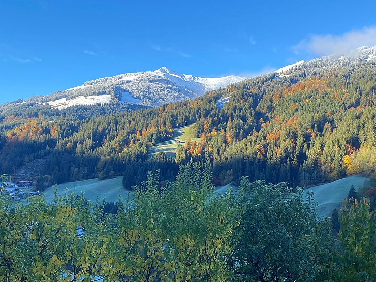 Blick auf Berg und Wald