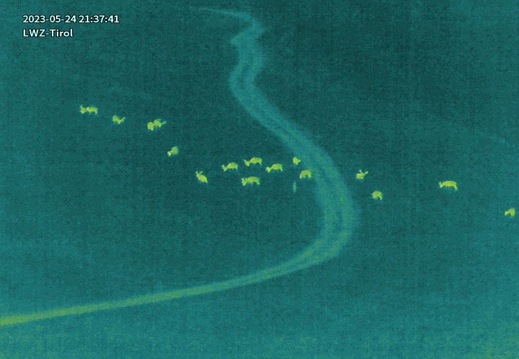 © Land Tirol/Drohnen-Einsatz-Gruppe Wiesenfläche mit Straße. Links und rechts der Straße sind schemenhaft ca. 16 Hirsche zu erkennen.