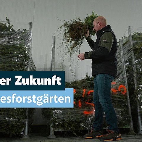Wald der Zukunft Landesforstgärten