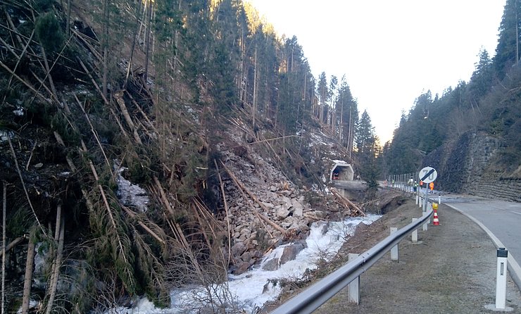 Durch den Felssturz wurde die Schwarzach aufgestaut und hat die Böschung der L 25 Defereggentalstraße unterspült.