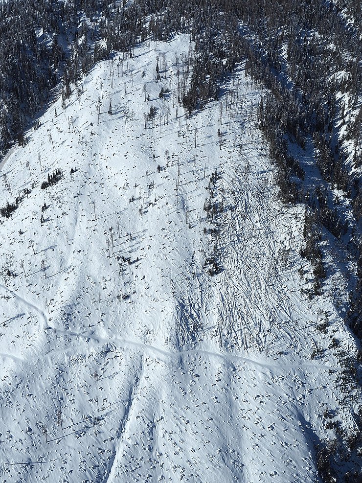 Kals 2018: Beim Sturmereignis VAIA 2018 waren großflächige Waldschäden wie hier in Kals zur verzeichnen. Heuer sind die Schäden sehr verstreut. 