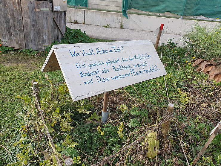 Ein schräg aufgestelltes, handbeschriebenes Holzschild in einem bepflanzten Beet auf dem Weltacker. Auf dem Schild steht: „Wie steckt Acker im Tank? Es ist grundsätzlich gefordert, dass den Kraftstoffen Biodiesel oder Bioethanol beigemischt wird. Diese werden aus Pflanzen hergestellt.“