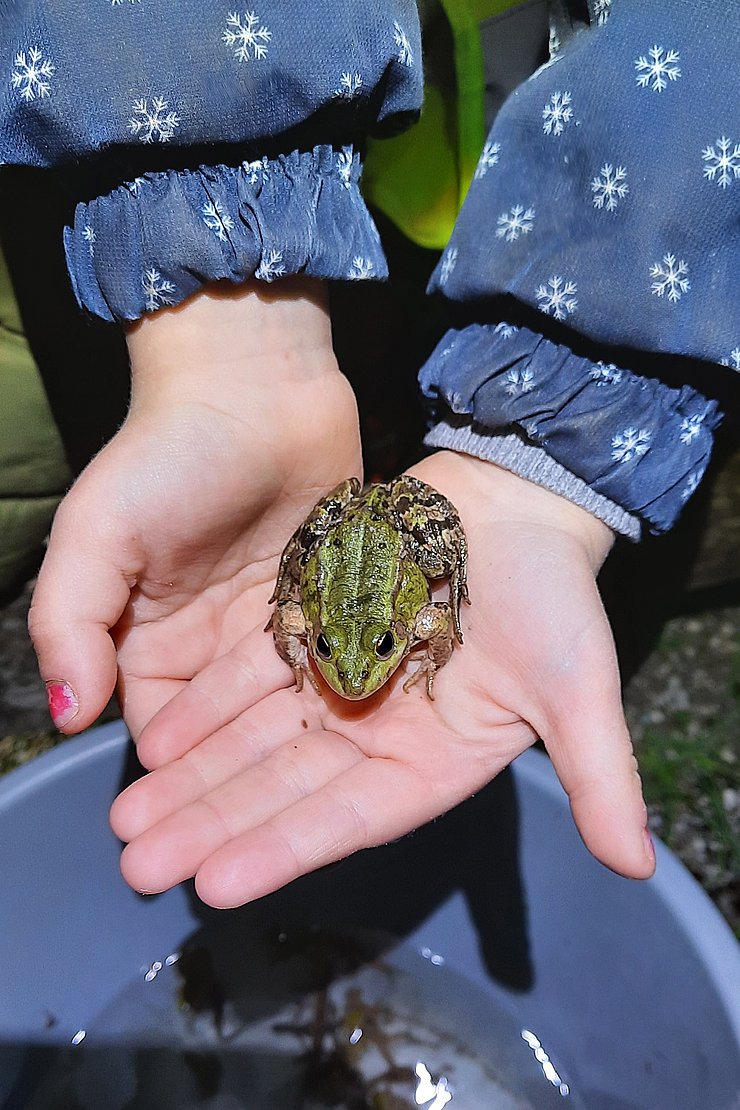 Kind mit Frosch in der Hand