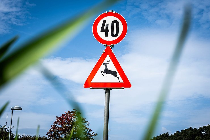 Wildwechselschild neben der Straße