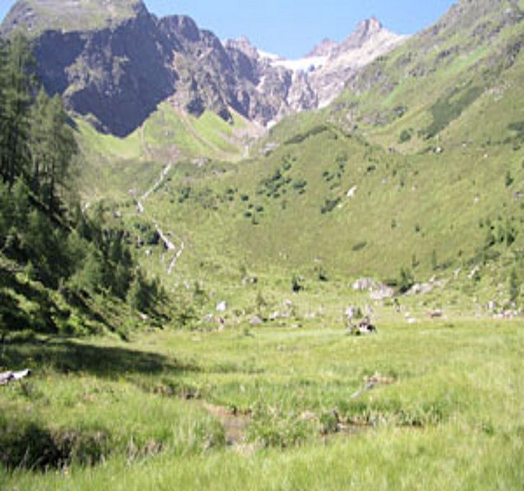 Landschaftsschutzgebiet Mösli